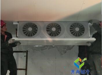 東莞100平水果保鮮冷庫造價大概要多少錢?