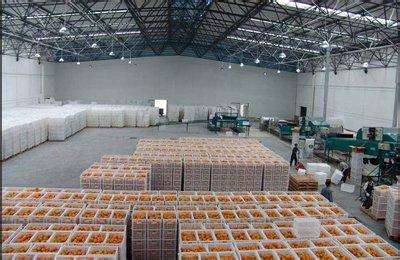 2500立方水果冷庫(kù)