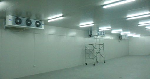 3000噸食品冷庫安裝，冷庫造價多少錢