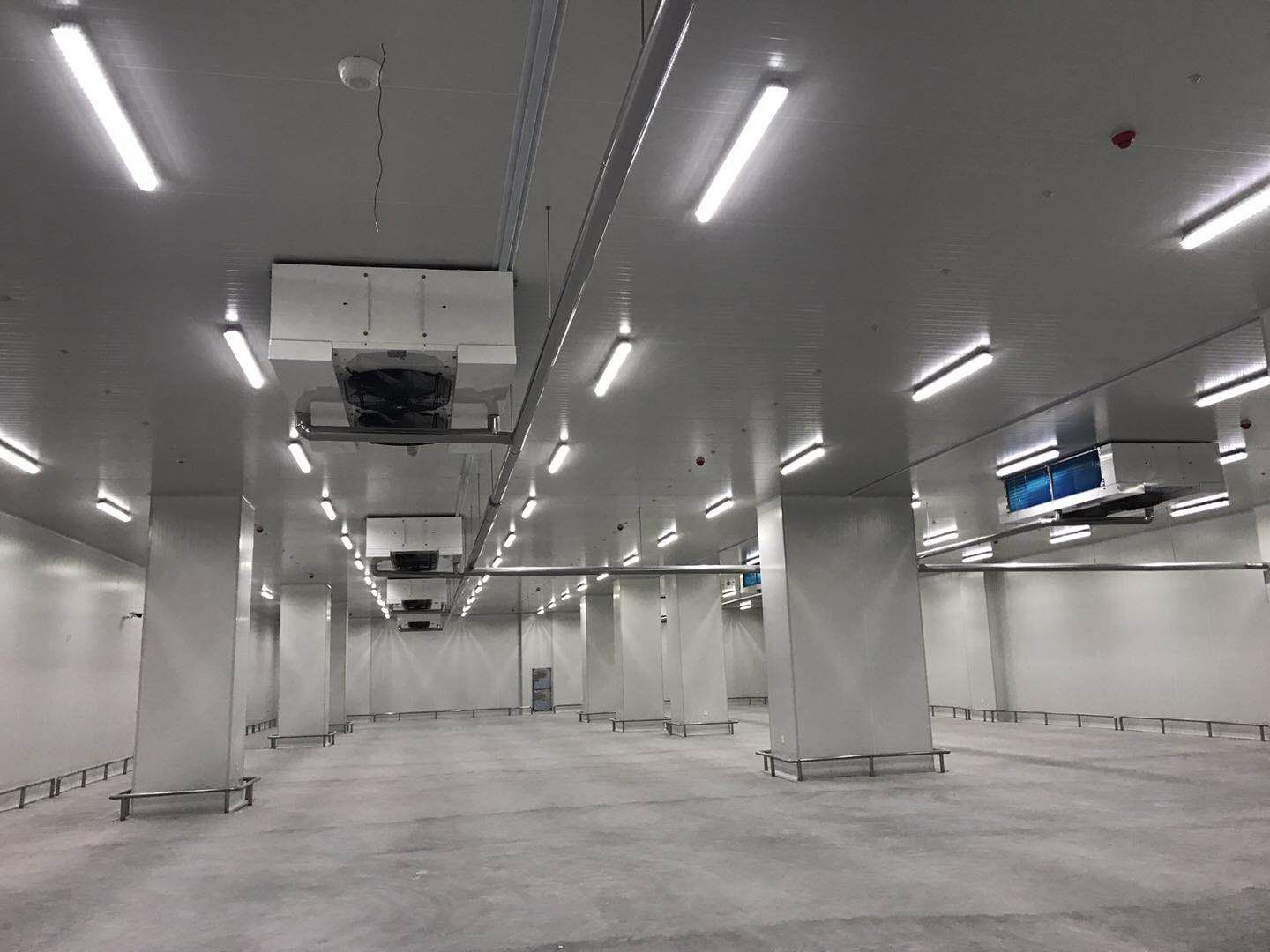 500平米低溫冷庫建造安裝造價(jià)