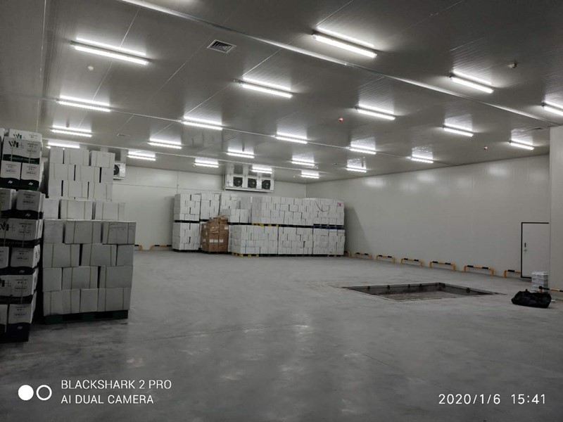 1618992367798137.jpg 1618992367798137.jpg