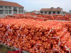 洋蔥保鮮庫(kù)能儲(chǔ)存多長(zhǎng)時(shí)間