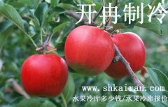 水果冷庫報價、一個水果冷庫多少錢