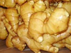 生姜保鮮庫內(nèi)存多久|生姜保鮮庫造價(jià)