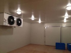 220V能建冷庫多大？（低溫冷庫）