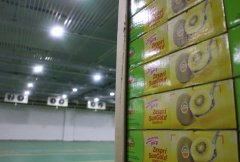 哪些是1000噸小型冷庫建造價(jià)格因素？