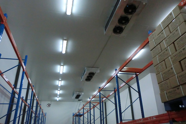 2000平廠房改建成冷庫(kù)內(nèi)景