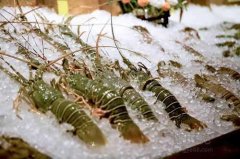 海鮮保存溫度？海鮮冷凍庫價格多少錢