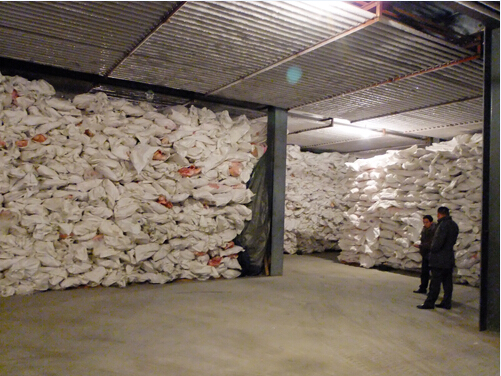 100平米冷凍庫造價，牛肉冷凍庫設備報價多少錢