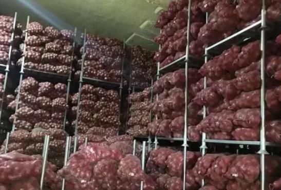 洋蔥在冷庫存儲多久，洋蔥冷藏庫安裝設計及造價