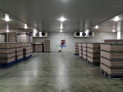 存儲食品冷藏庫設計建造多少錢一平米？保鮮冷藏庫設計