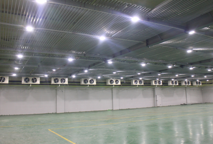 3000平米食品肉類(lèi)冷凍庫(kù)常溫倉(cāng)庫(kù)改造費(fèi)用