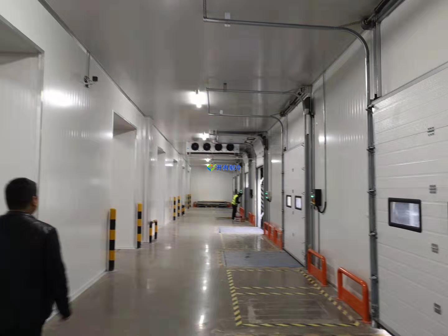 1300平食品冷凍庫設(shè)計(jì)建造價(jià)格整體投資多少錢