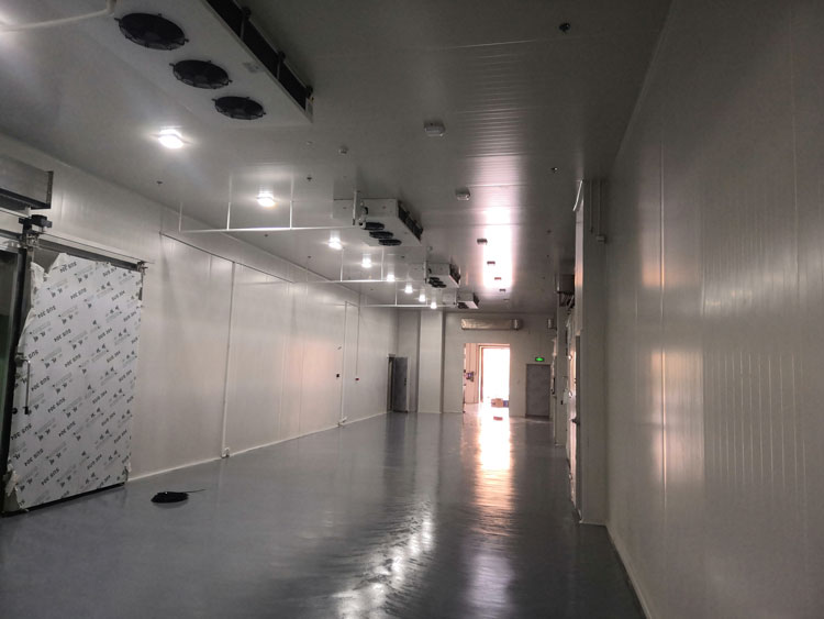 -20℃冷凍庫(kù)安裝制冷設(shè)備、保溫庫(kù)房造價(jià)咨詢(xún)